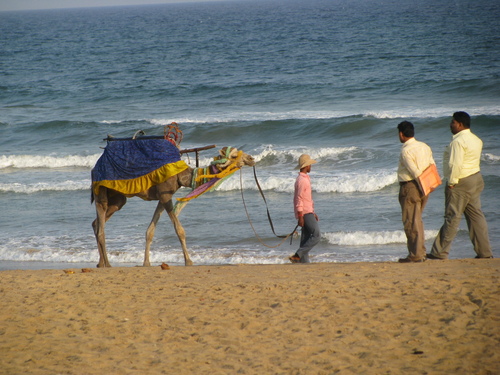 Orissa Heritage Tours
