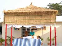 jungle-lodge/facilities