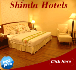 Shimla Hotels